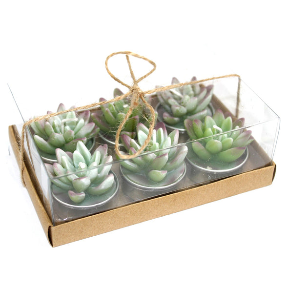 Tealight Candles Gift Set of 6 - Agave Cactus
