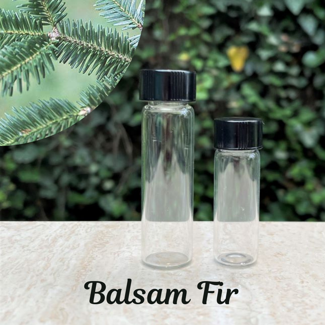 The Soap Opera Pure Essential Oils - Balsam Fir Needle