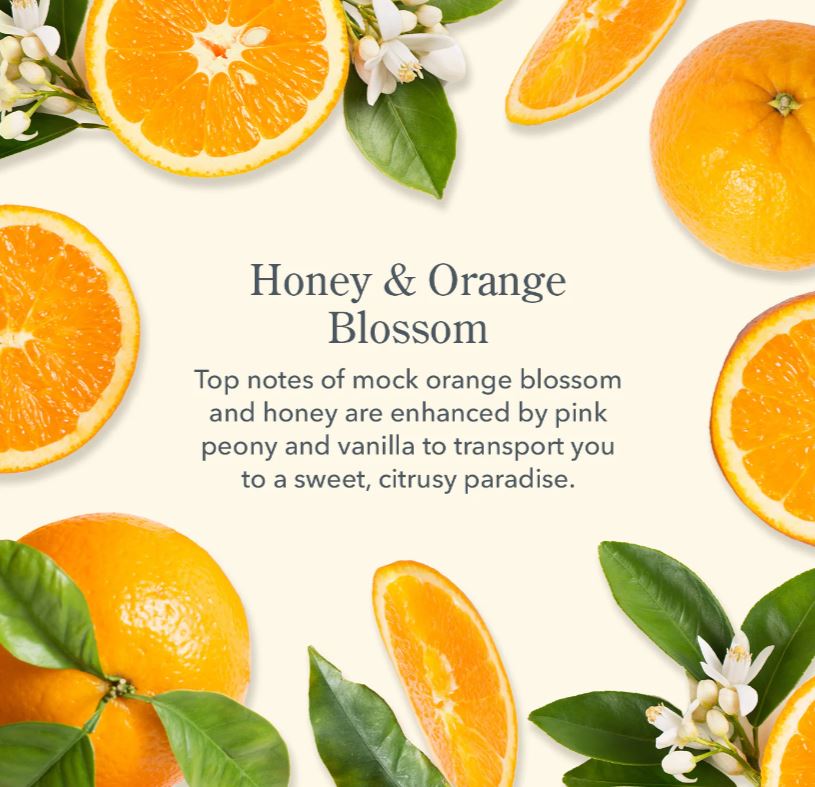 Beekman Goat Milk Whipped Body Cream 8oz 236mL - Honey & Orange Blossom