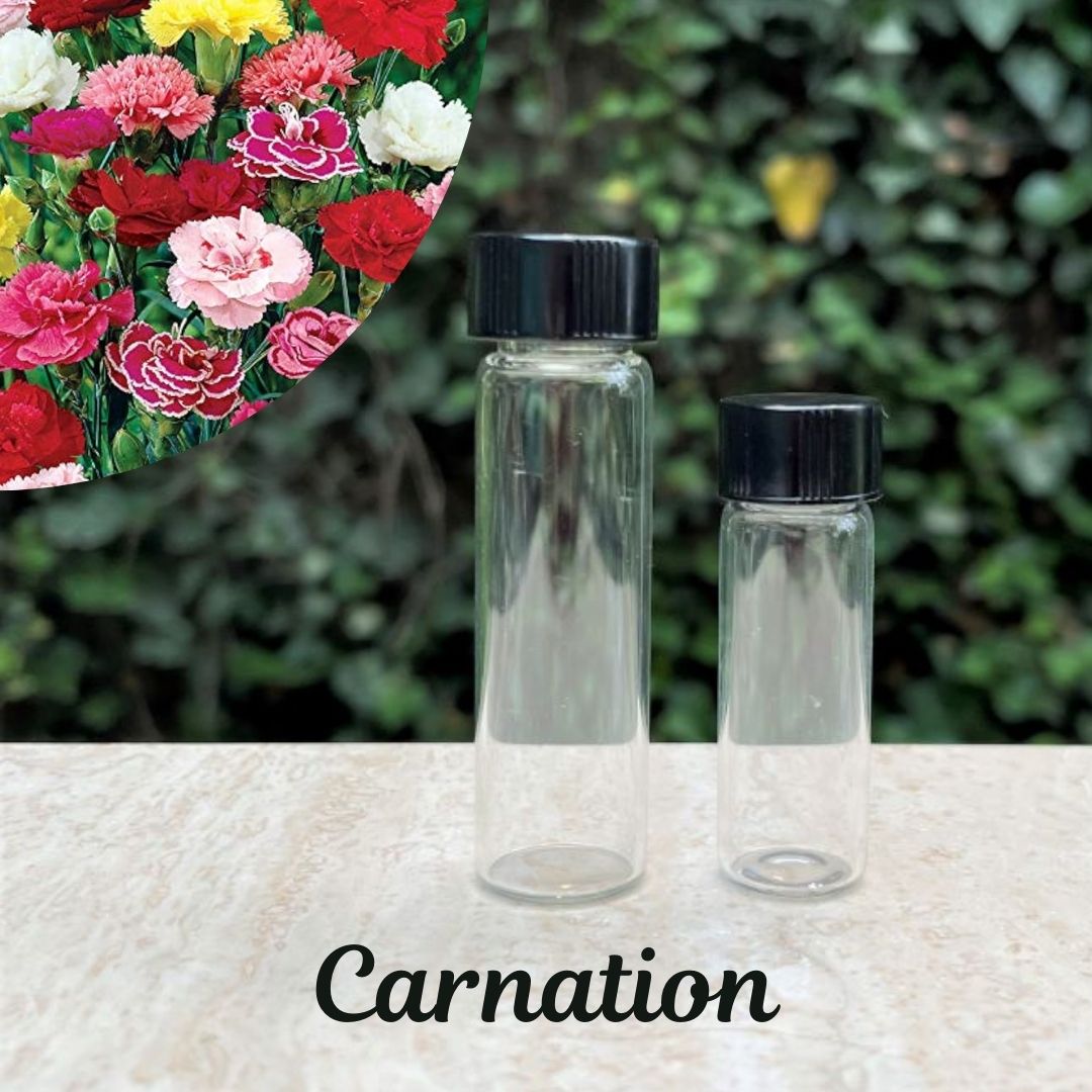 The Soap Opera Pure Perfume Oils - Carnation