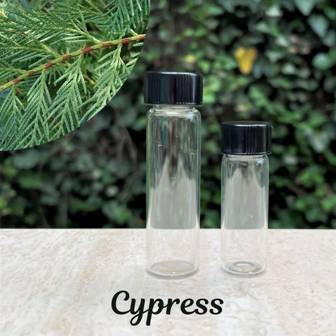 The Soap Opera Pure Essential Oils - Cypress