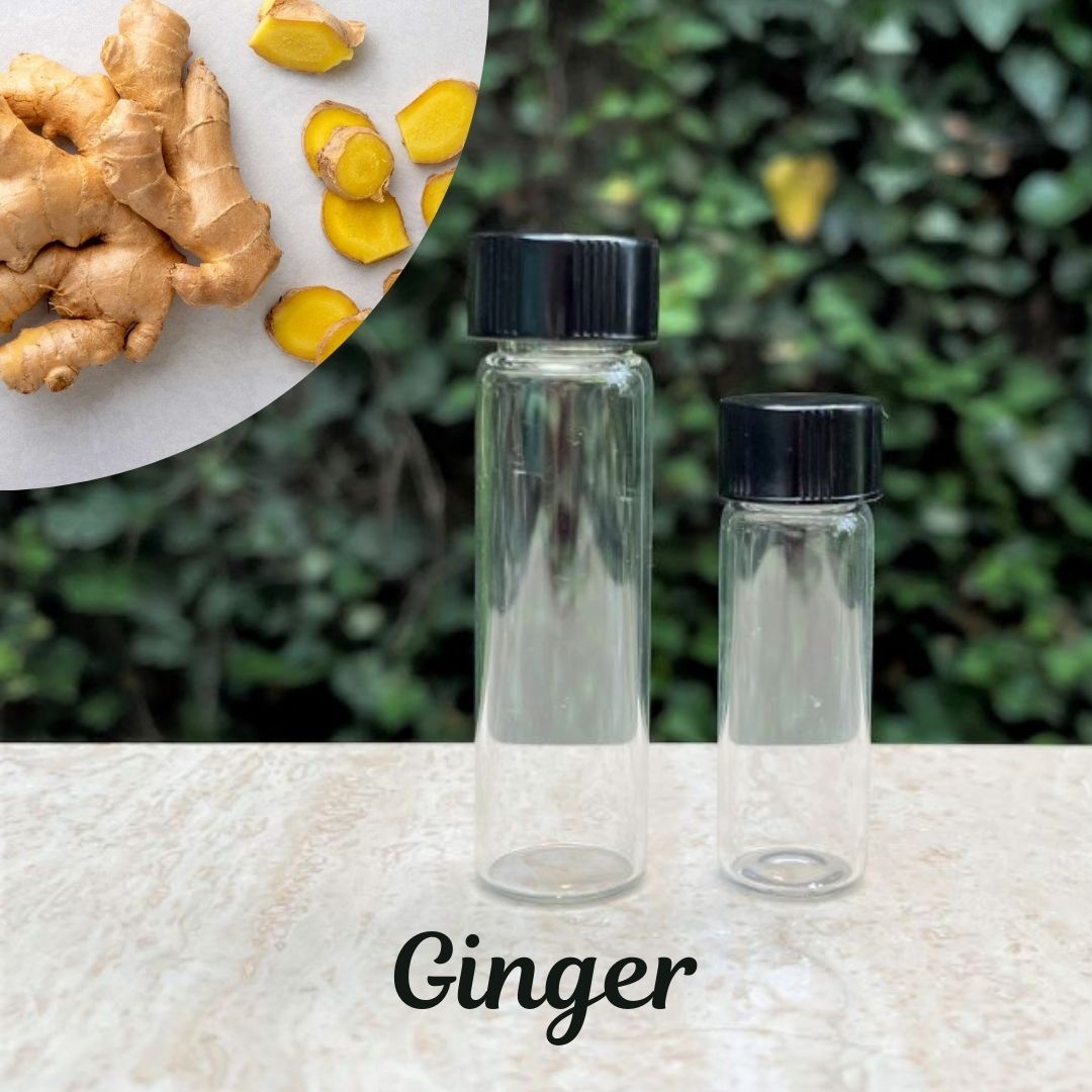 The Soap Opera Pure Essential Oils - Ginger (True)