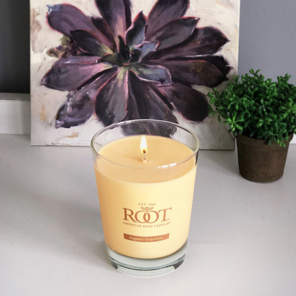 Root Candles Large Veriglass 10.5oz 630g - Sugared Grapefruit
