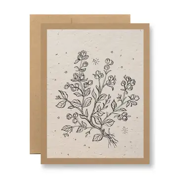 Seedy Cards - Plantable Seed Paper Greeting Card - Wildflower Sketch