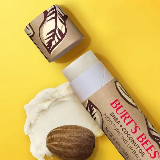 Burt's Bees Shea & Coconut Oil Lip Balm in Recycled Paper Tube