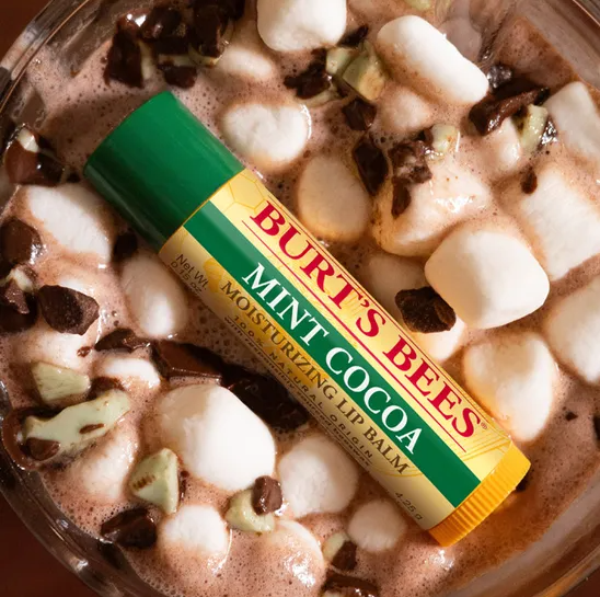 Burt's Bees Limited Edition Holiday Lip Balm 0.15oz - Mint Cocoa