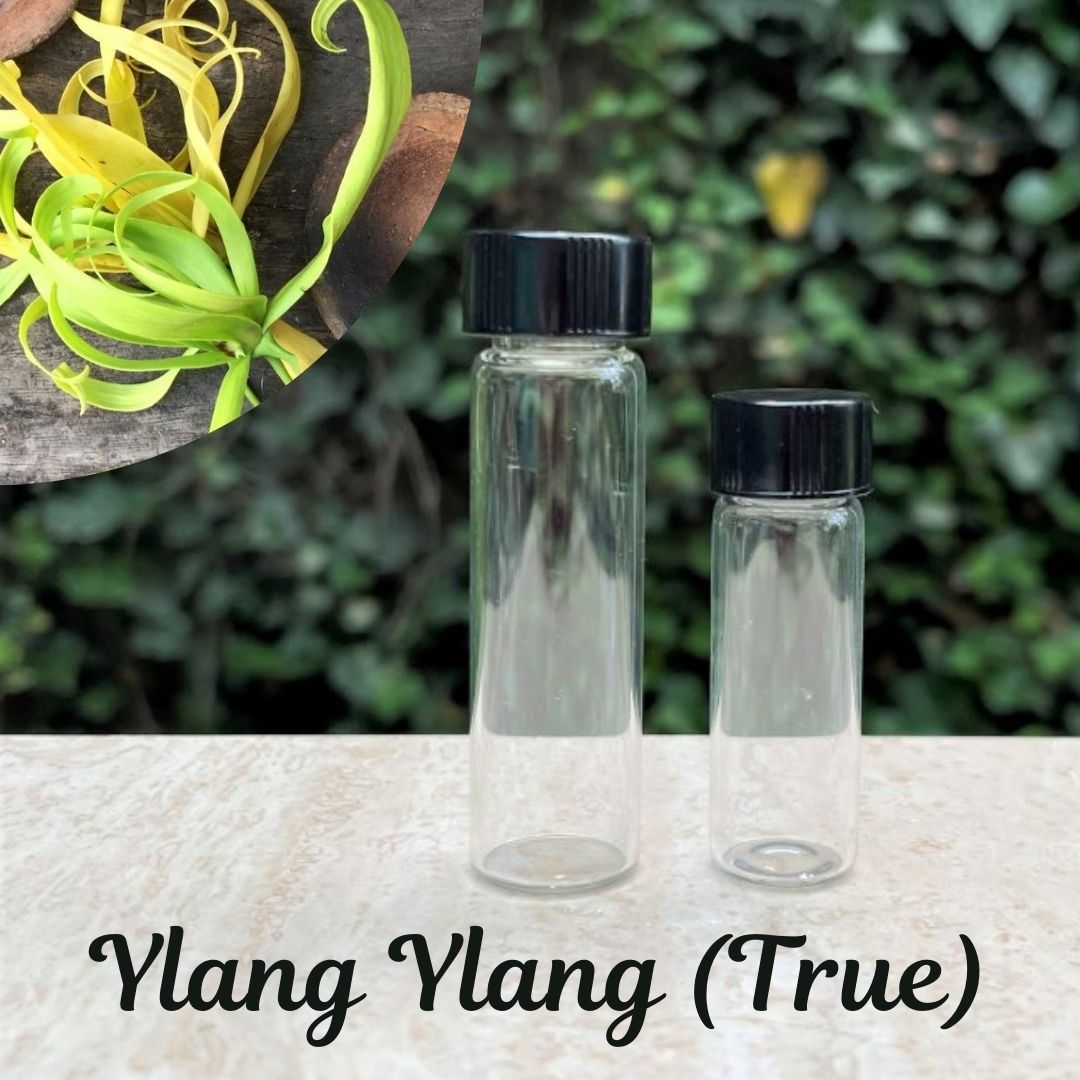 The Soap Opera Pure Essential Oils - Ylang Ylang (True)