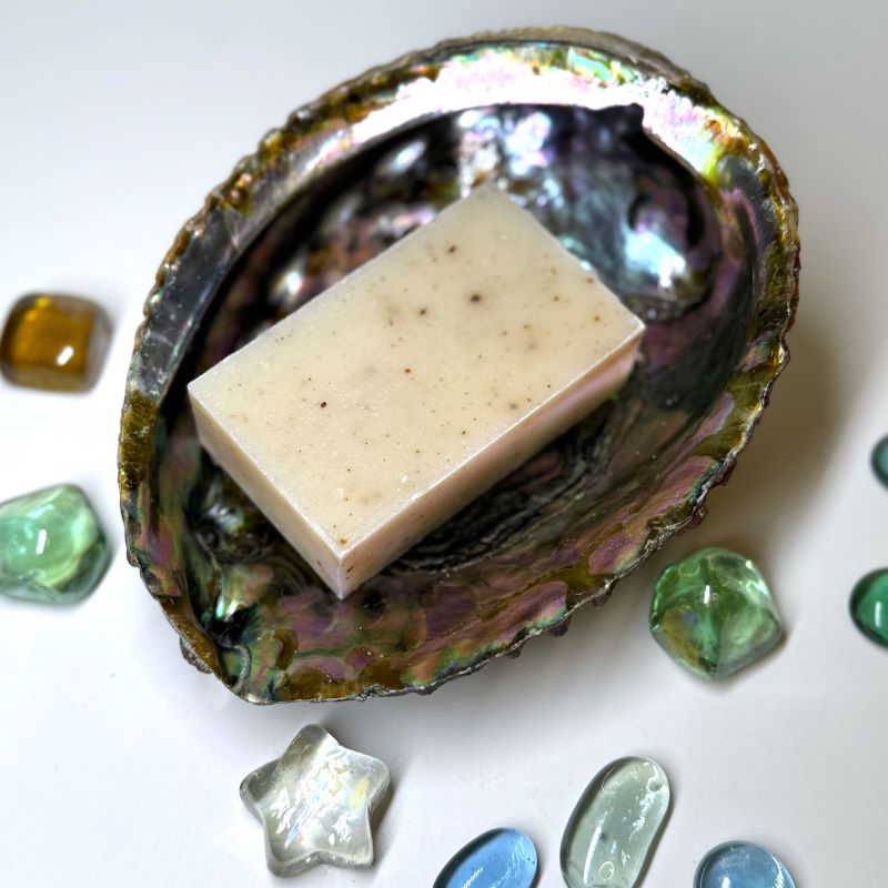 Abalone Shell Smudge Bowl or Soap Dish