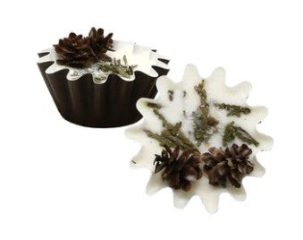 Bright Ideas Organic Soy Wax Melt 1.8oz - Fir Tree