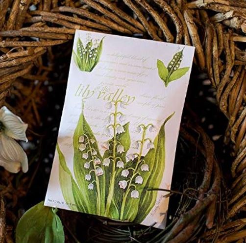 Fresh Scents Scented Sachet 115mL - Lily of the Valley