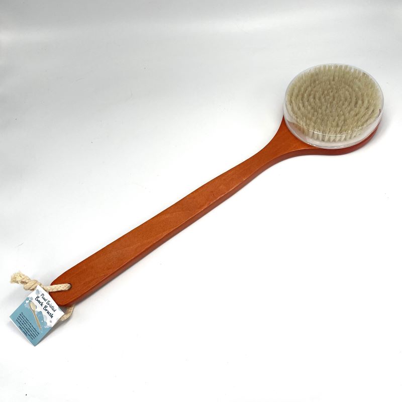 The Soap Opera Plant Bristled Back Brush