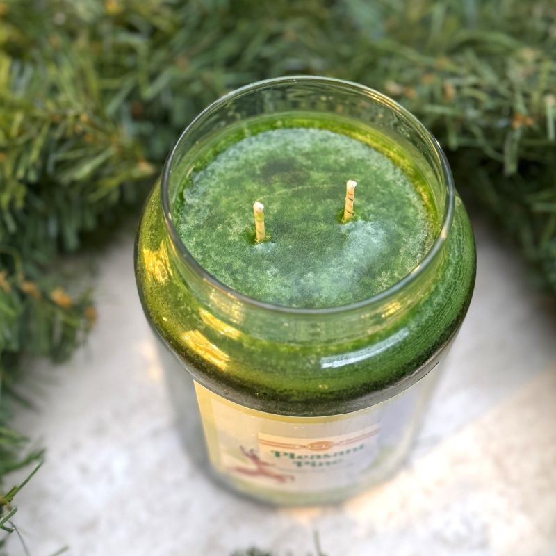 The Soap Opera Large Double Wick Candle 24oz - Pleasant Pine