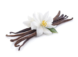 vanilla with flower to indicate vanilla and french vanilla fragrance available for custom lotion custom perfume