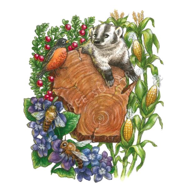 Aubree Sue Art Greeting Card - "Wisconsin Wildlife"