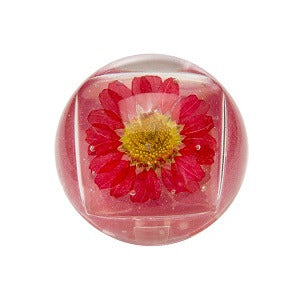 Blossom Duo Lip Gloss 0.28oz 8g