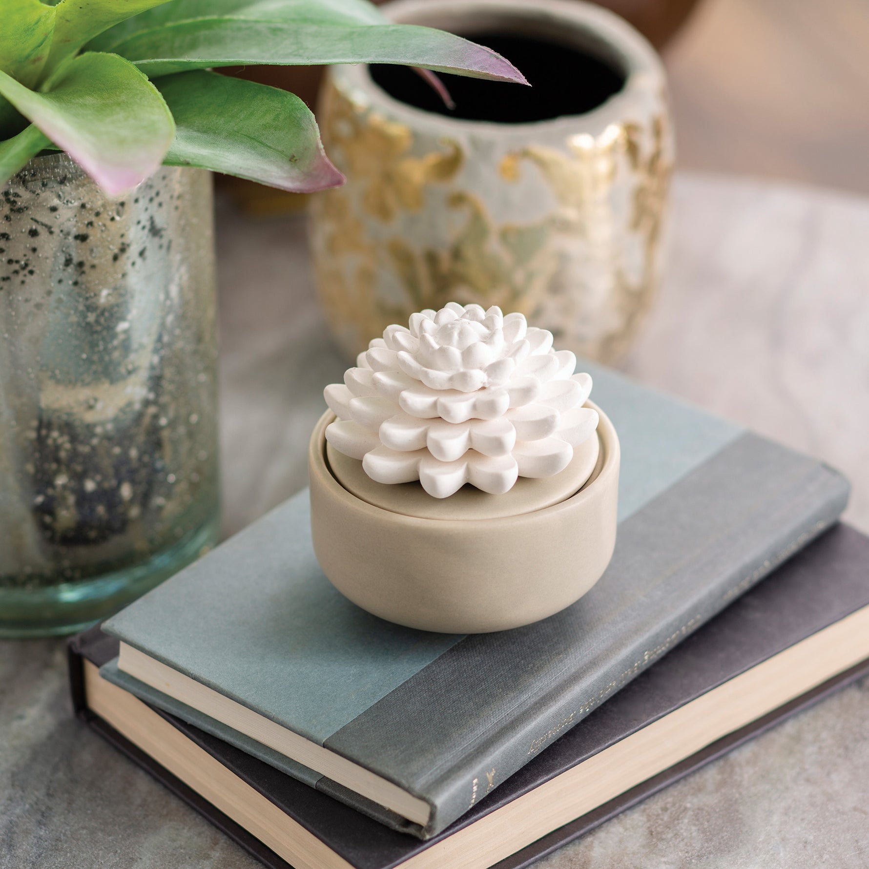 succulent warmer Airome Succulent Porcelain Diffuser