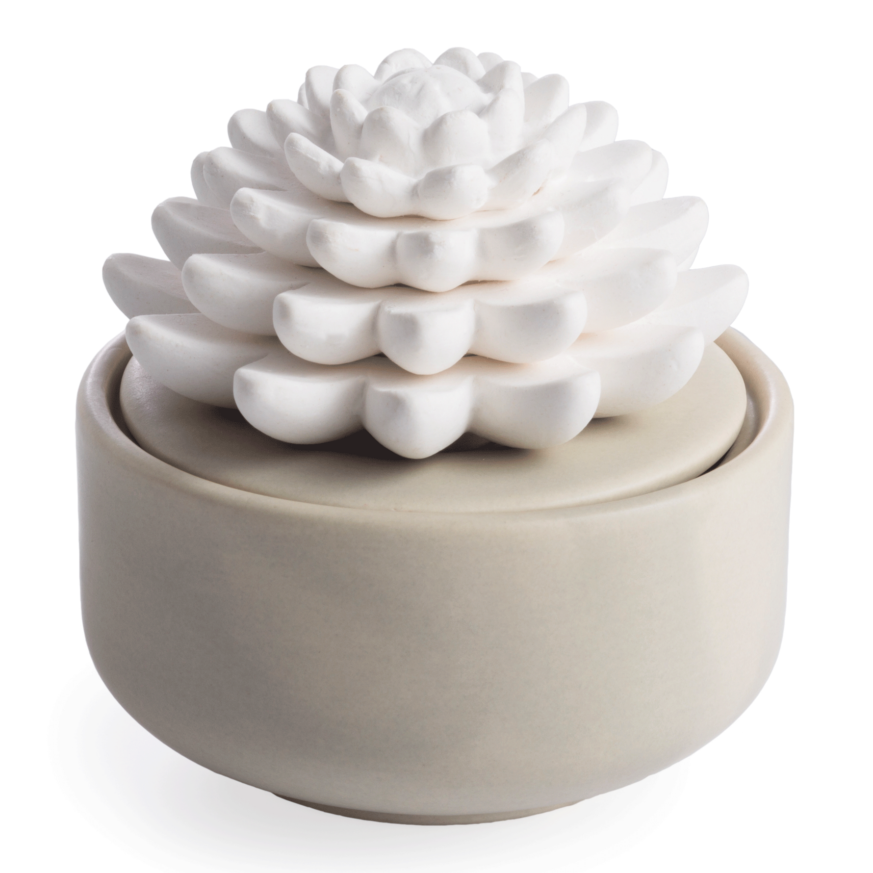 succulent candle warmer Candle Warmers Etc. Airome Porcelain Essential Oil Diffuser