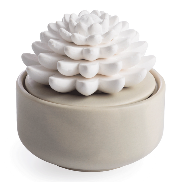 Candle Warmers Etc. Airome Porcelain Essential Oil Diffuser - Succulent