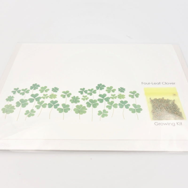 Greeting Card - Birthday Clover Growing Kit