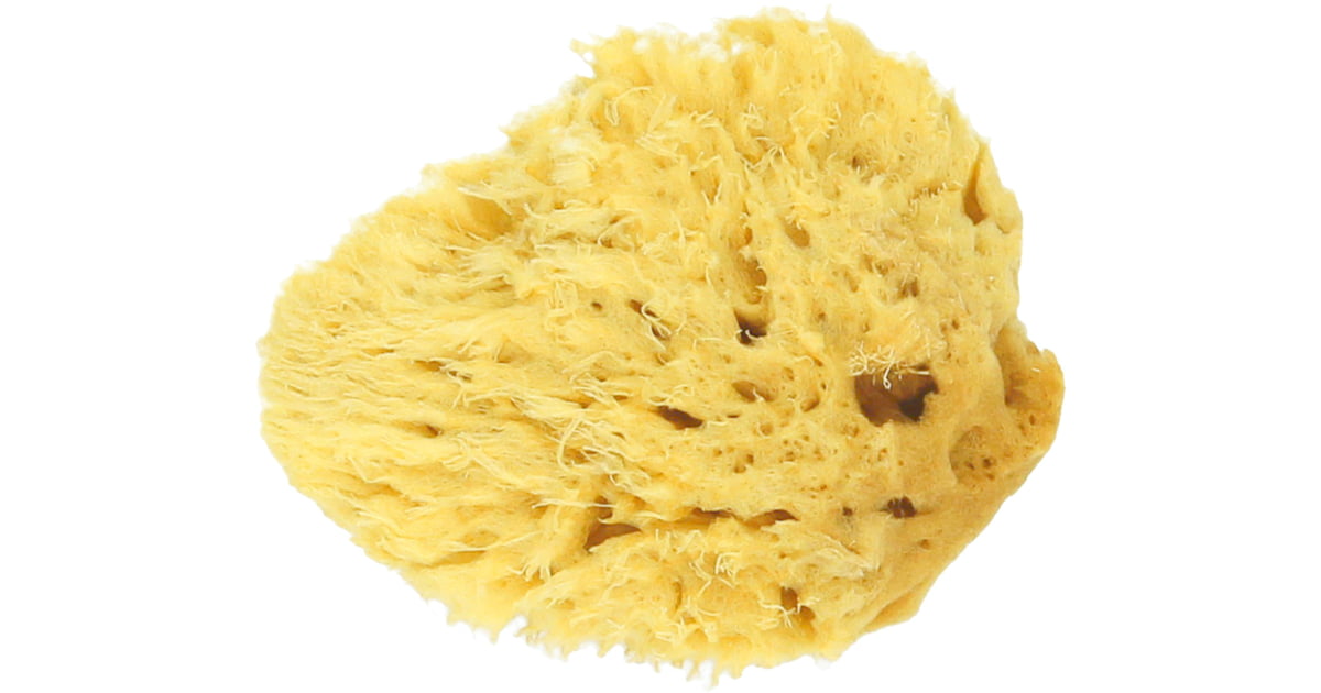 the soap opera natural sea sponge bath accessory