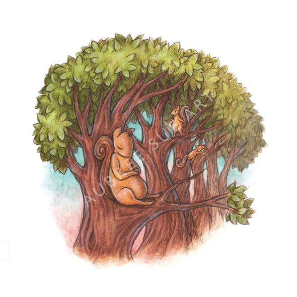 Aubree Sue Art Greeting Card - "Treetop Snooze" Napping Squirrel