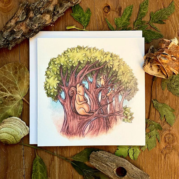 aubree sue art greeting card with watercolor illustration of squirrel napping in the trees. blank with envelope.