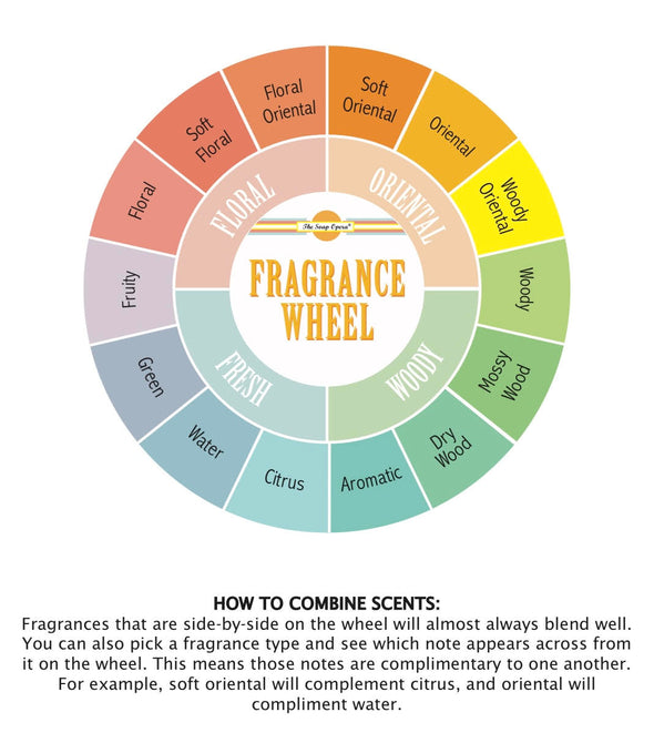 fragrance wheel for essential and perfume oils